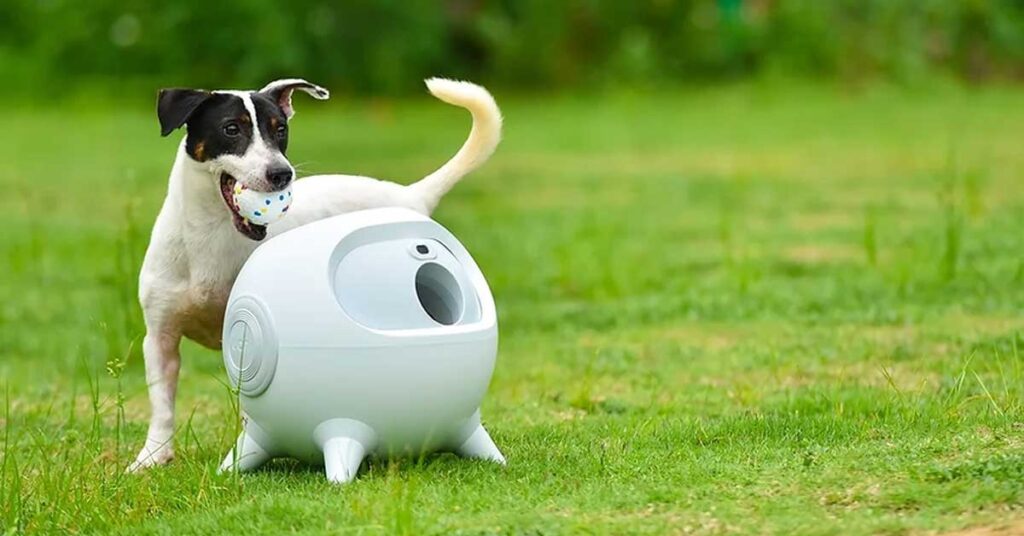 5 Best Automatic Dog Ball Launchers in 2023 Nerd Techy