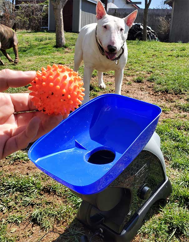 Franklin-Pet-Ready-Set-Fetch