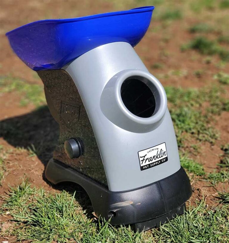 5 Best Automatic Dog Ball Launchers in 2023 Nerd Techy