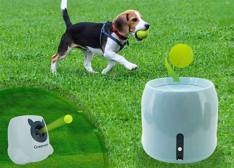 5 Best Automatic Dog Ball Launchers in 2023 - Nerd Techy