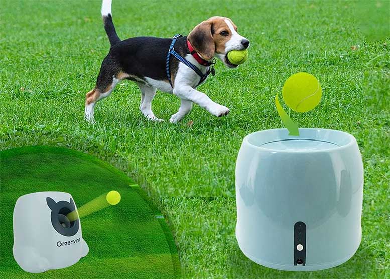 Greenvine-Automatic-Dog-Ball-Launcher
