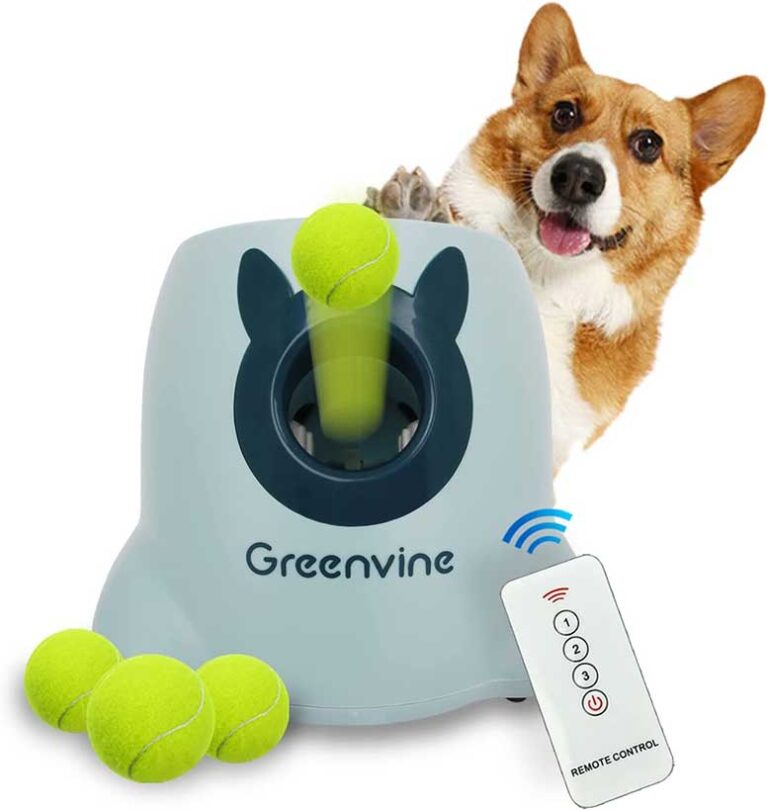 5 Best Automatic Dog Ball Launchers in 2023 Nerd Techy