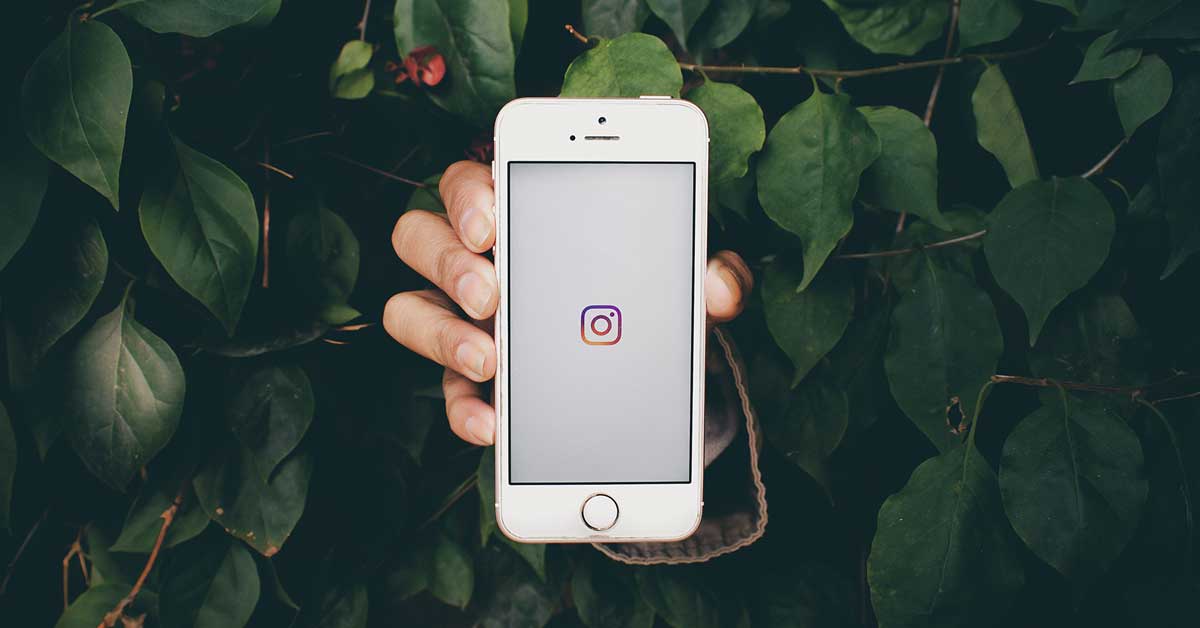 How to Add Subscribe Button on Instagram