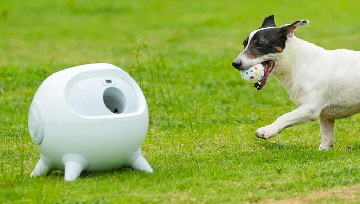 uahpet-dog-ball-launcher