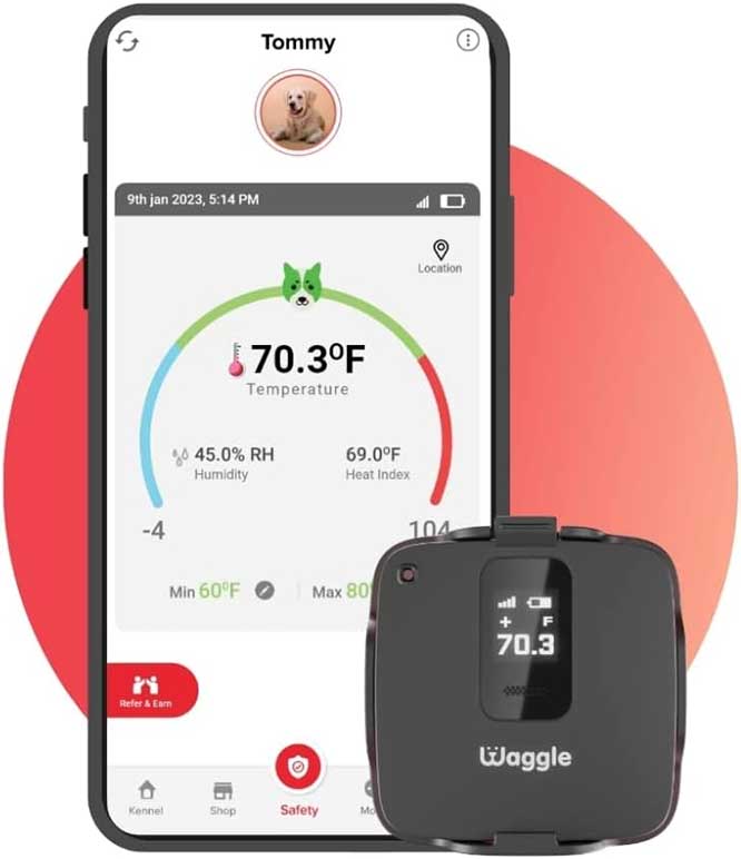 Waggle Pro Wireless Pet Monitoring System