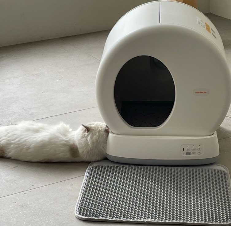 meowant-self-cleaning-litter-box