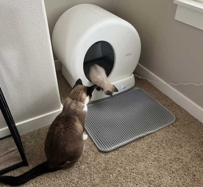 meowant-self-cleaning-litter-box