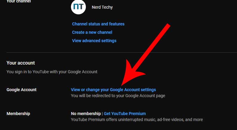 youtube view or change google account