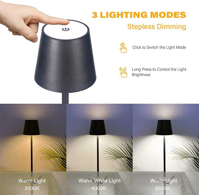 CHLORANTHUS-Cordless-Table-Lamp