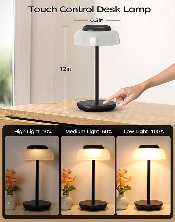 Cordless Battery Operated Table Lamp, Ping Lighting in 2023