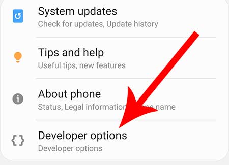 developer options