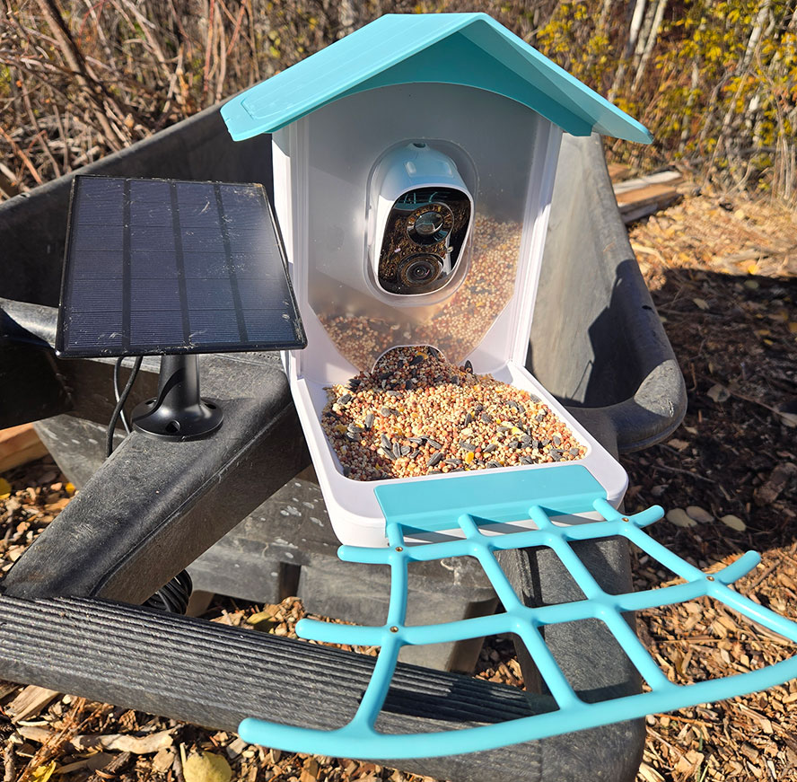 harymor-blue-bird-feeder-with-camera