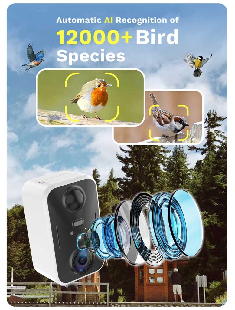 birdster species