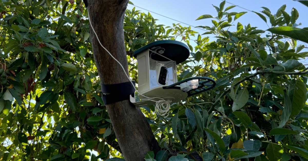 HARYMOR Bird Feeder Camera