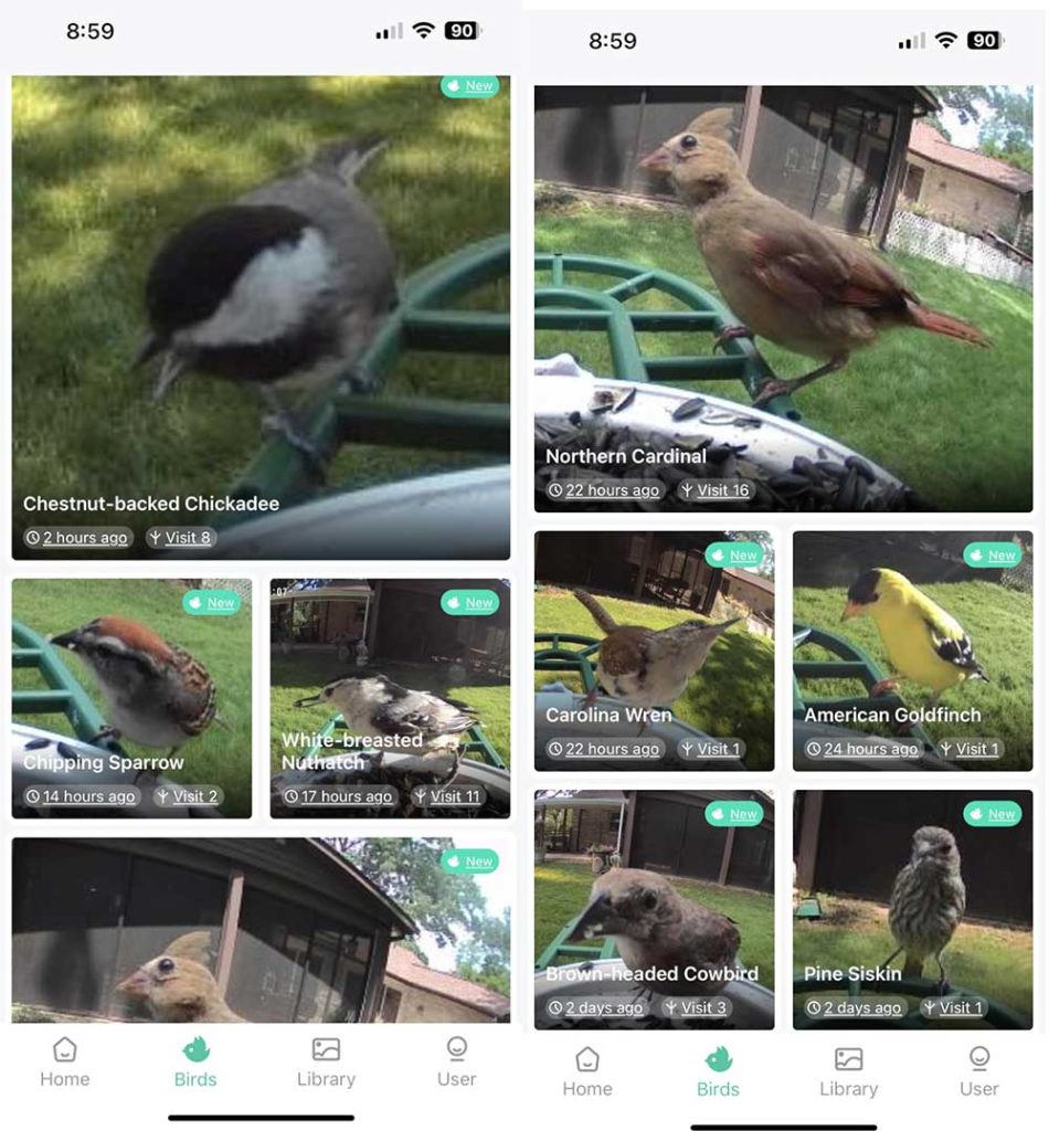 HARYMOR-Bird-Feeder-Camera