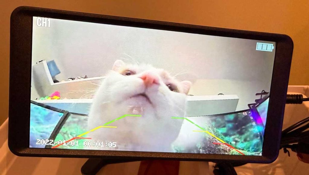 AUTO-VOX-6-Inch-Wireless-Solar-Backup-Camera