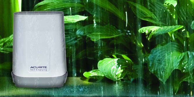 Best Wireless Rain Gauge for 2021: Reviews of the Most Accurate