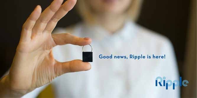 Ripple 24/7 Personal Safety Monitoring Device Review - Nerd Techy