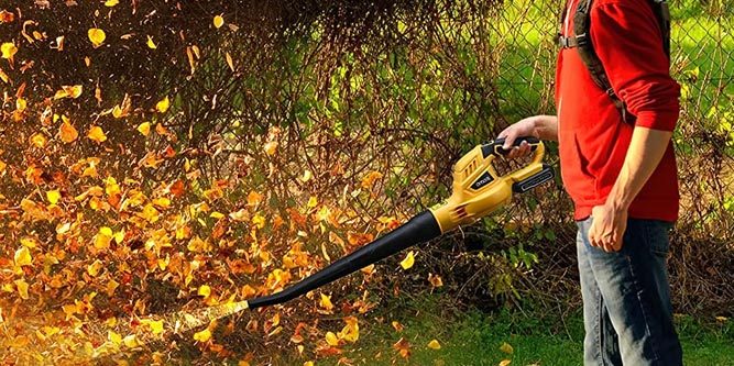 OMOTE Cordless Leaf Blower Review (20V Battery Powered) - Nerd Techy